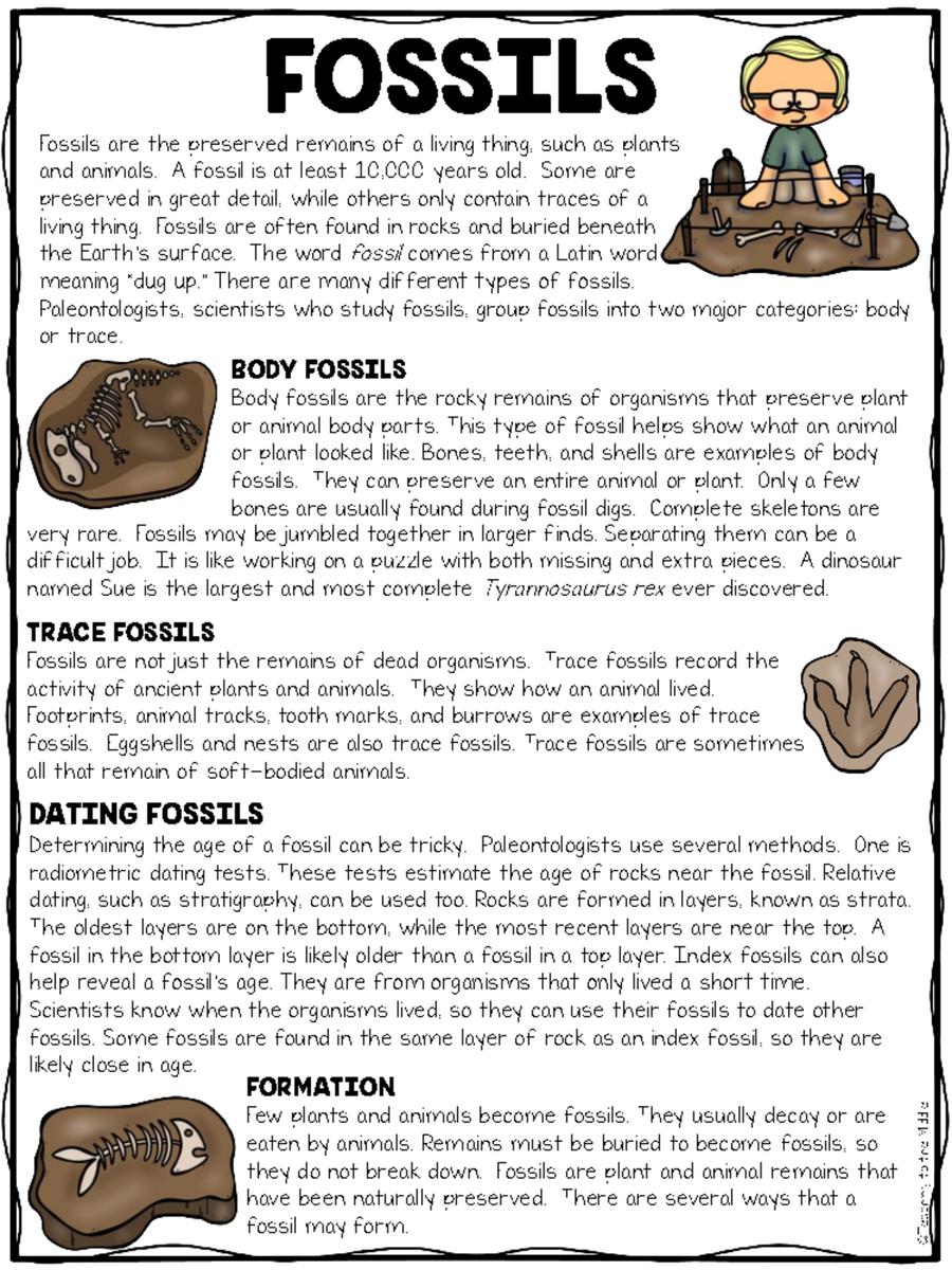 1 Fossils Reading Comprehension Worksheet For Earth Science Studocu