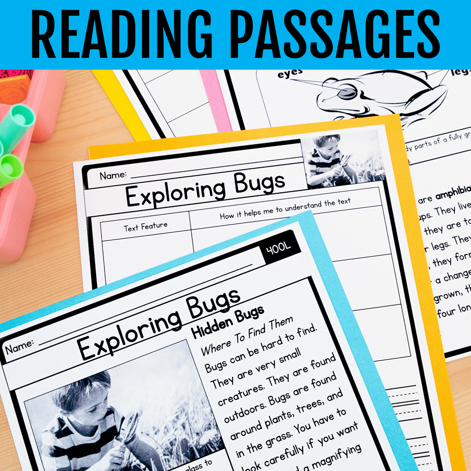 1st Grade Nonfiction Text Features Worksheets Passages Anchor Charts RI 1 5 1st Grade Nonfiction Text Features Worksheets Passages Anchor Charts RI 1 5