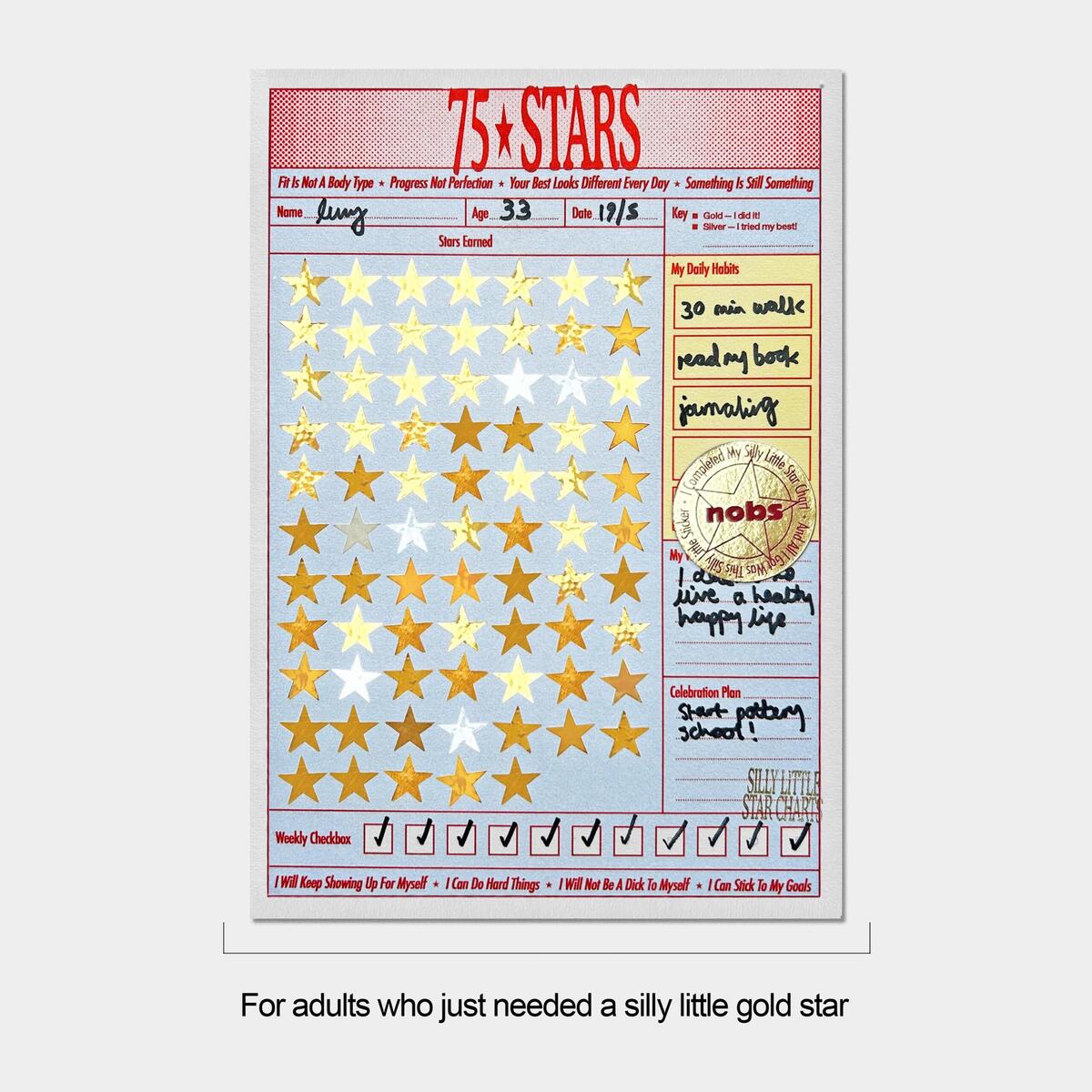 75 Day Habit Tracker Star Chart Daily Progress Stickers Magnet Etsy