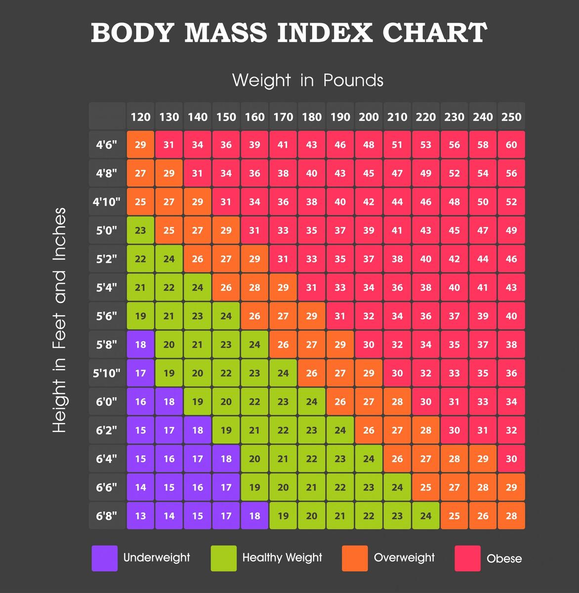 9 2 Body Mass Index BMI And Waist Circumference Nutrition And Physical Fitness Index Mass Body Rating Chart Body Stock Vector Royalty Free 766126732 Shutterstock