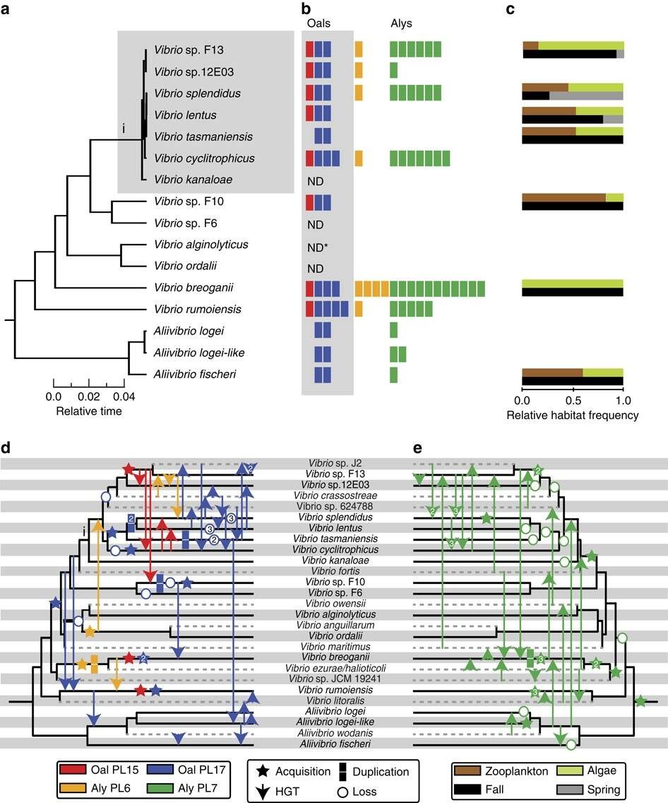 Adaptive Radiation By Waves Of Gene Transfer Leads To Fine Scale Resource Partitioning In Marine Microbes Nature Communications