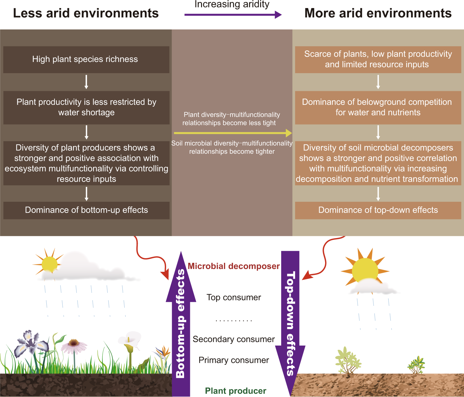 Aridity Driven Shift In Biodiversity Soil Multifunctionality Relationships Nature Communications