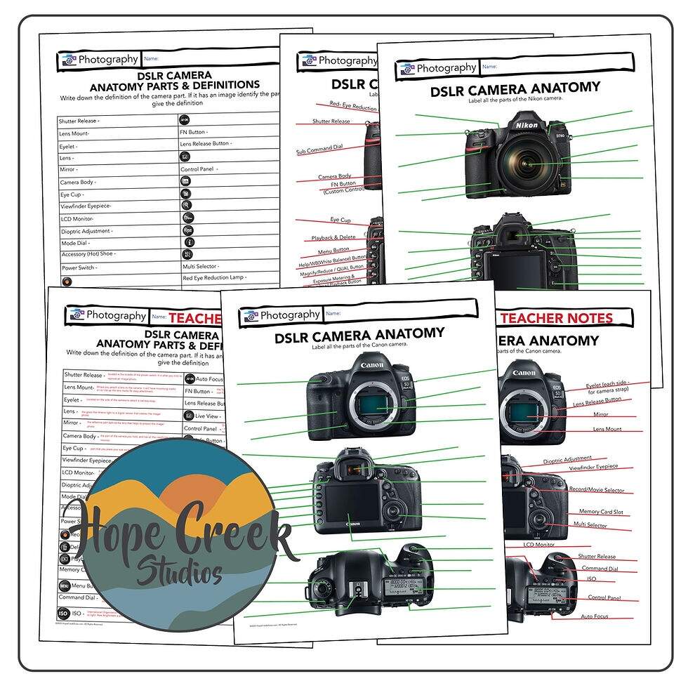 Art Photography Tangents Common Composition Mistakes Lesson Worksheet HopeCreek