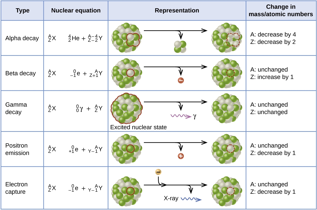 Atomic Nucleus And Radioactive Decay Physical Science Class Notes
