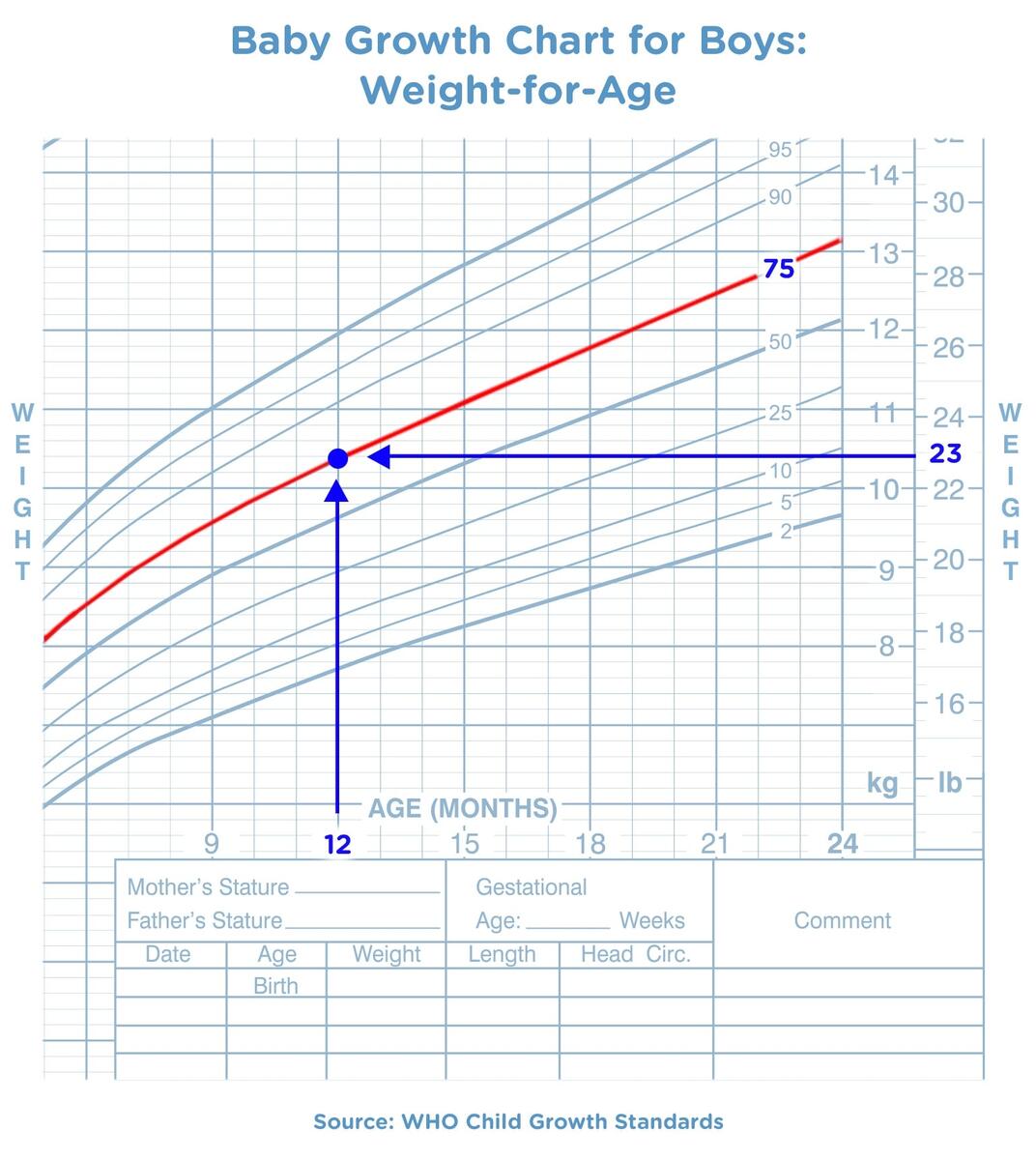 Baby Growth Chart Track Their Milestones Pampers UK Complete Guide For Understanding Baby Growth Charts In The First Year