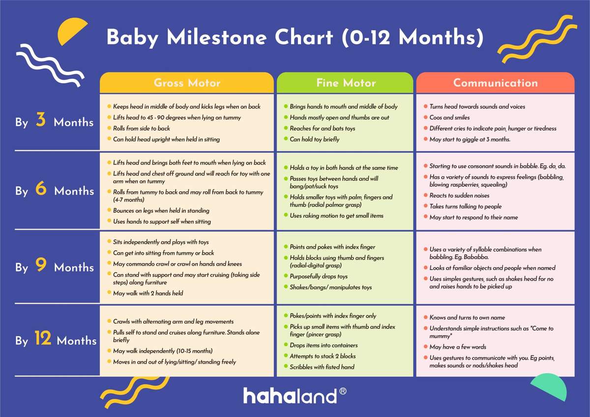 Baby Milestones Chart 0 12 Months Milestones Chart 12 Month Old Cognitive Development Milestones