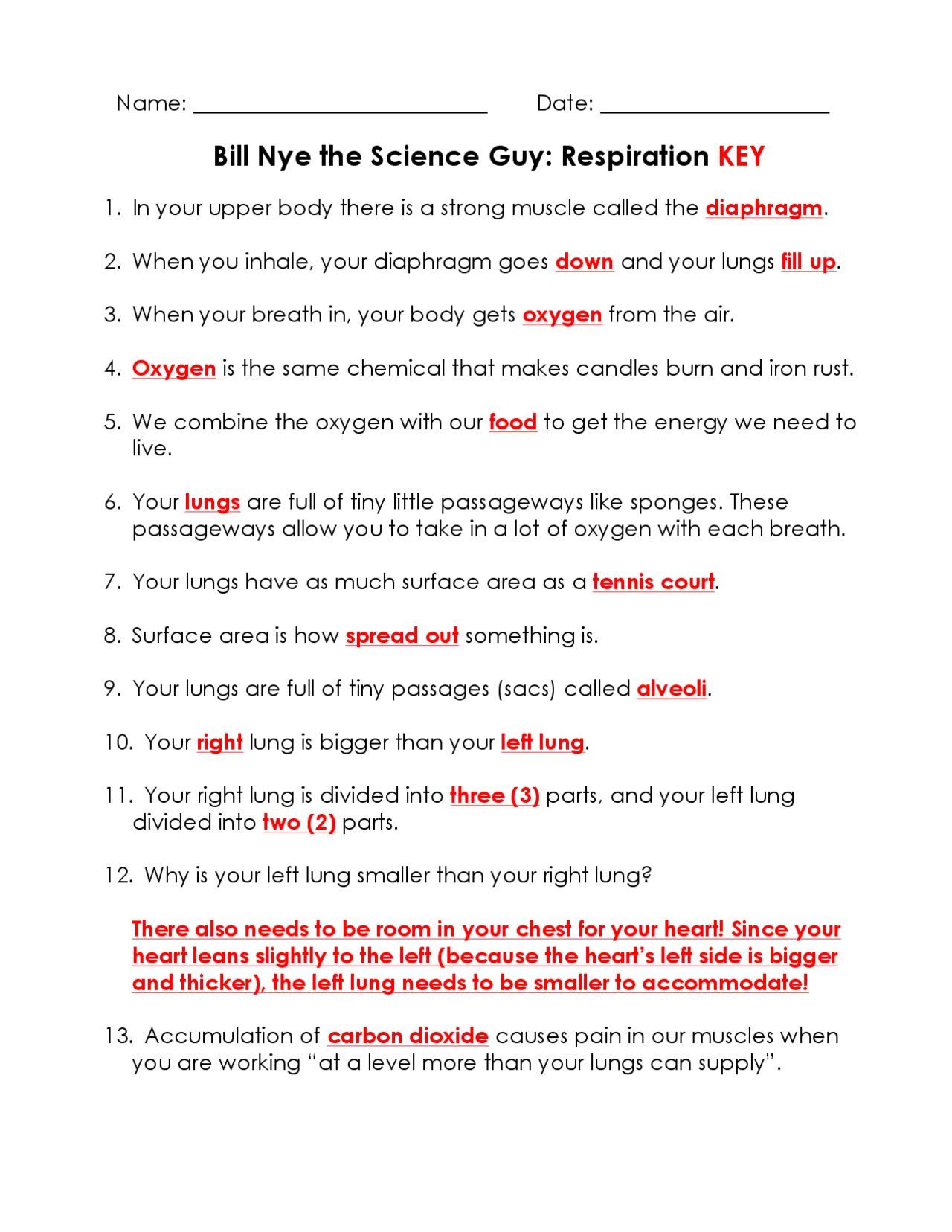 Bill Nye The Science Guy Respiration KEY Lecture Notes Science Worksheets Library