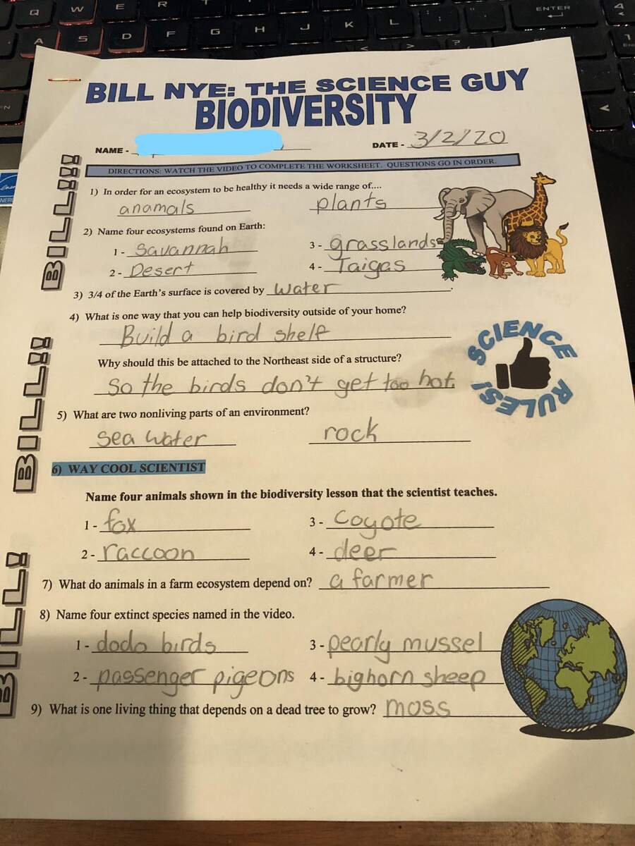 Bill Nye The Science Guy School Worksheets R mildlyinteresting