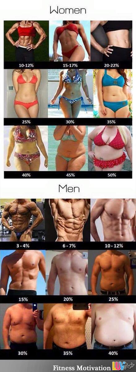 Body Fat Percentage Guide R coolguides