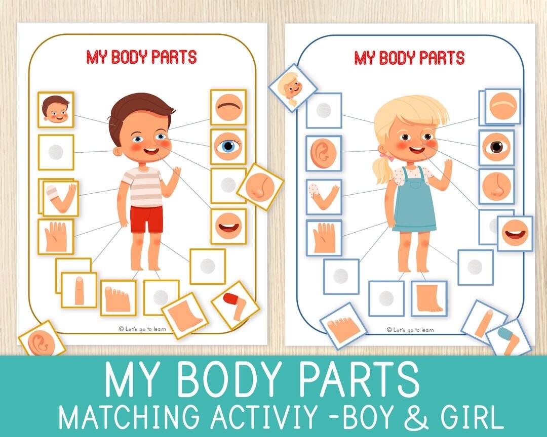 Body Parts Matching Activity Human Body Game Toddler Preschool Worksheets For Kids Busy Book Pages Homeschool Educational Game Etsy