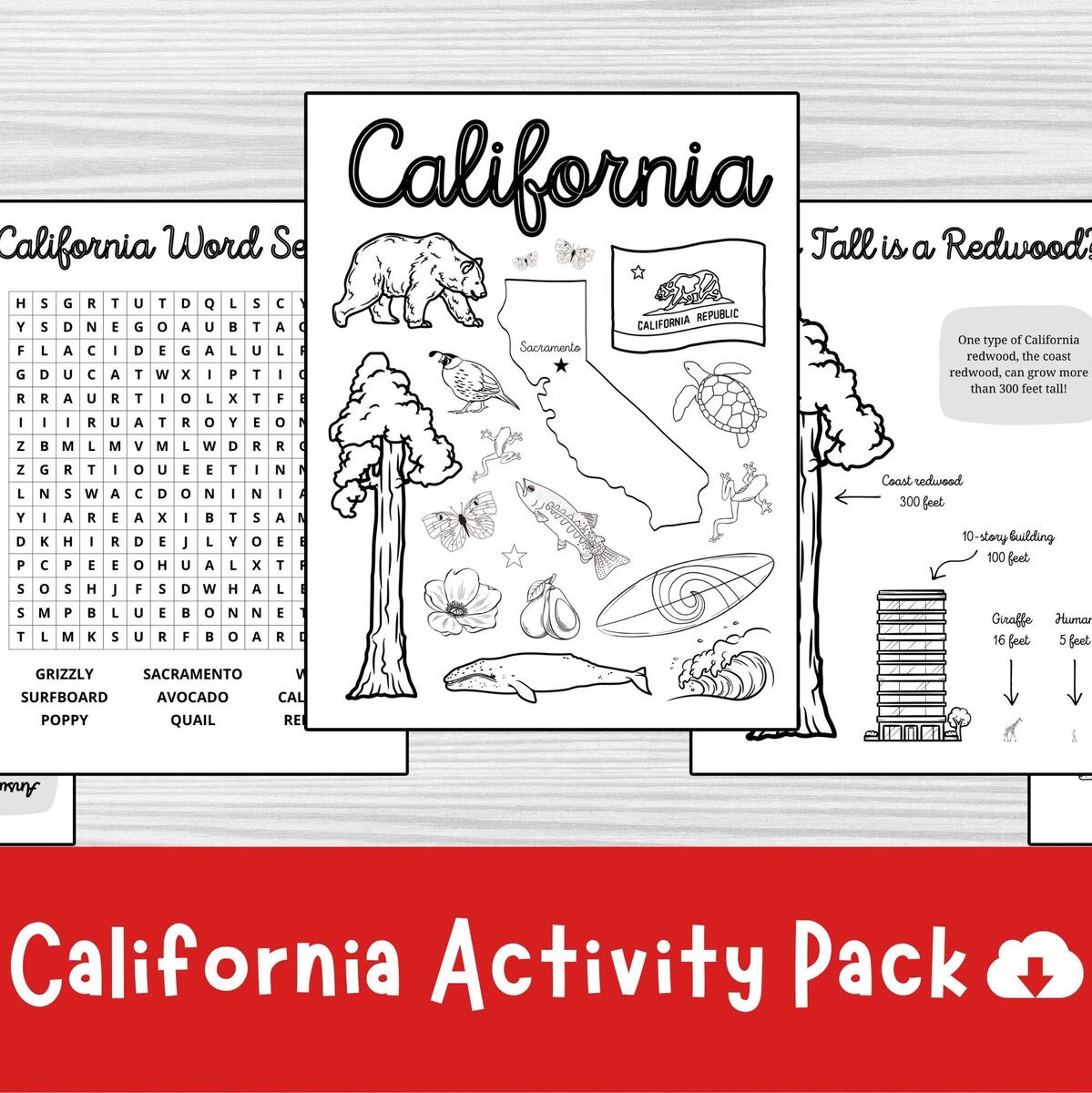 California Activity Pack State Symbols Trivia And Word Search Printable PDF Etsy California Activity Pack State Symbols Trivia And Word Search Printable PDF Etsy
