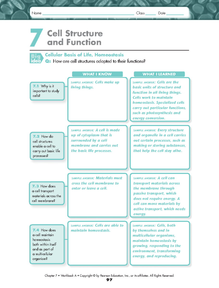 Cell Structure And Function Workbook Answer Key 7 1 7 2 Studocu