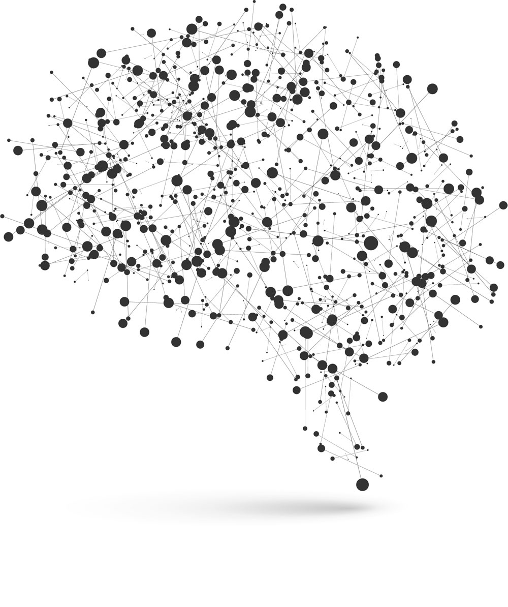 Connecting The Dots James R Booth Uses FMRI To Predict Learning Disorders Sooner Vanderbilt University