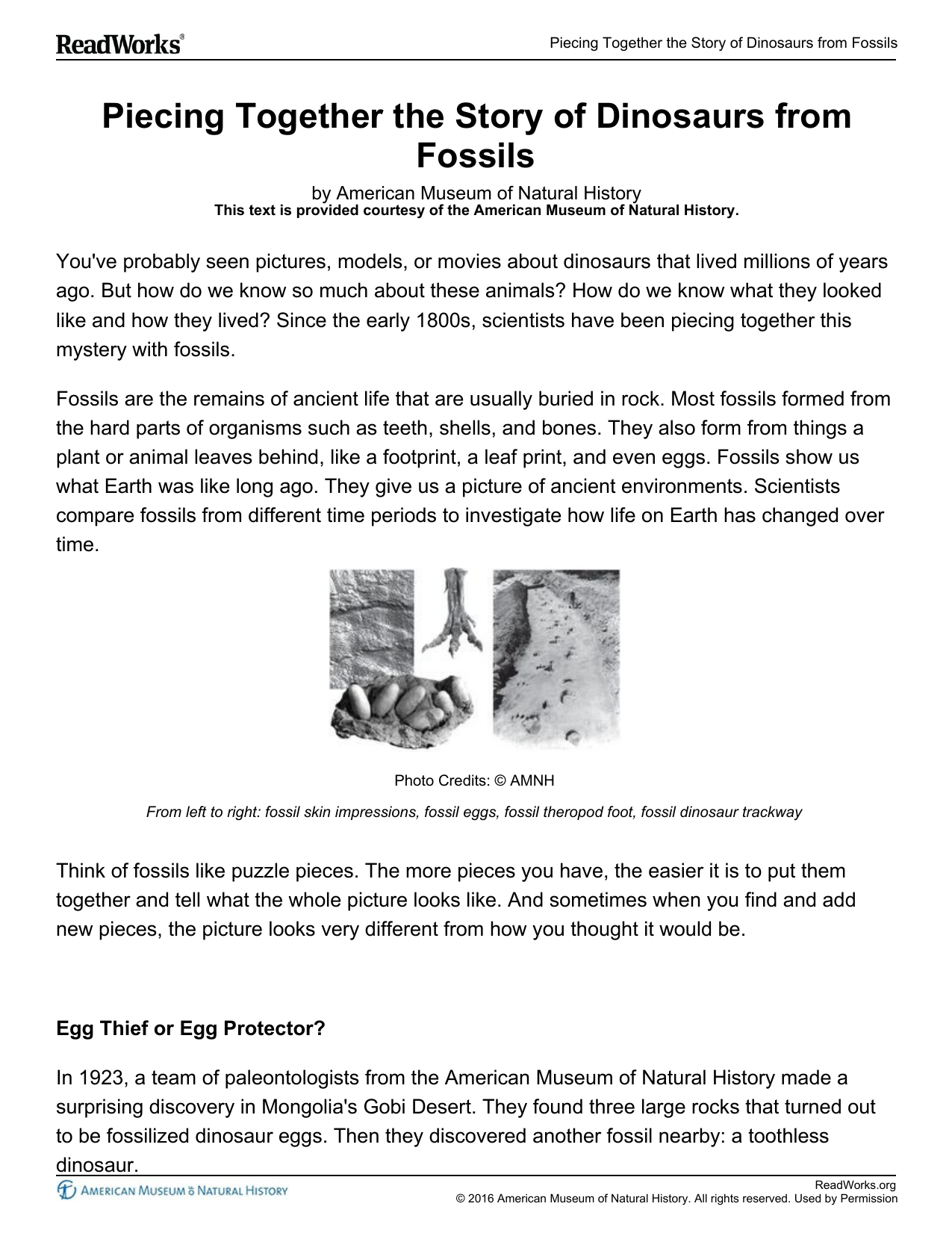 Dinosaur Fossils Reading Comprehension Worksheet Dinosaur Fossils Reading Comprehension Worksheet
