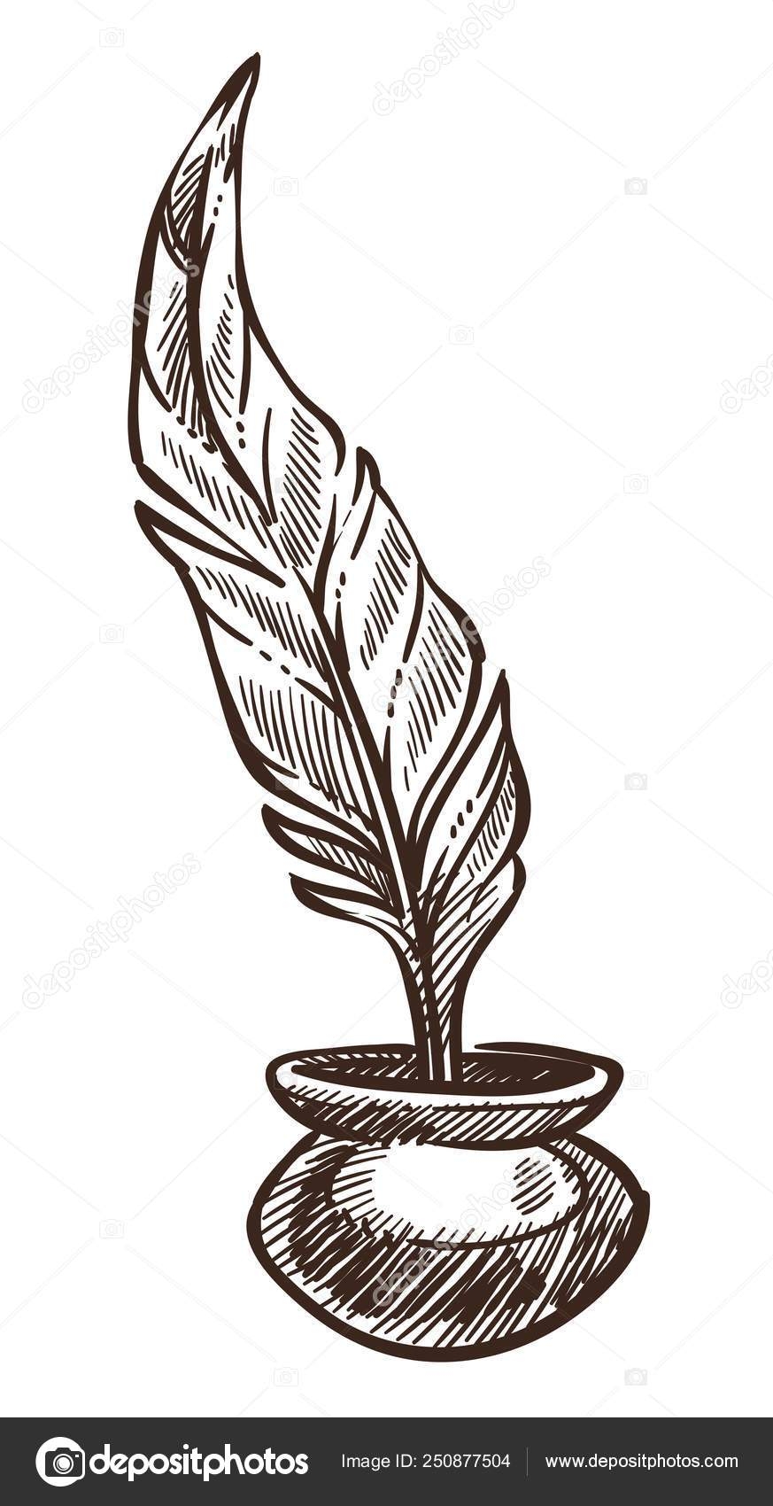 Drawing Feather Used For Writing Drawing Ink And Feather Writing Quill Pen Drawing Old Fashioned