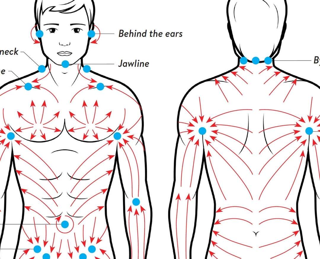 Dry Body Brushing Direction Guide MALE Version Self Care Lymphatic Drainage Anti Cellulite Massage Technique 1 Page PDF Digital DOWNLOAD Etsy