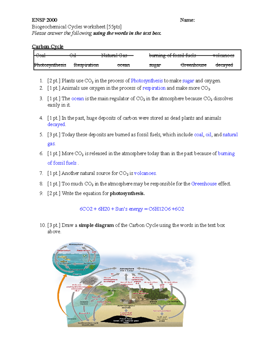ENSP 2000 Biogeochemical Cycles Worksheet Concepts Questions Studocu