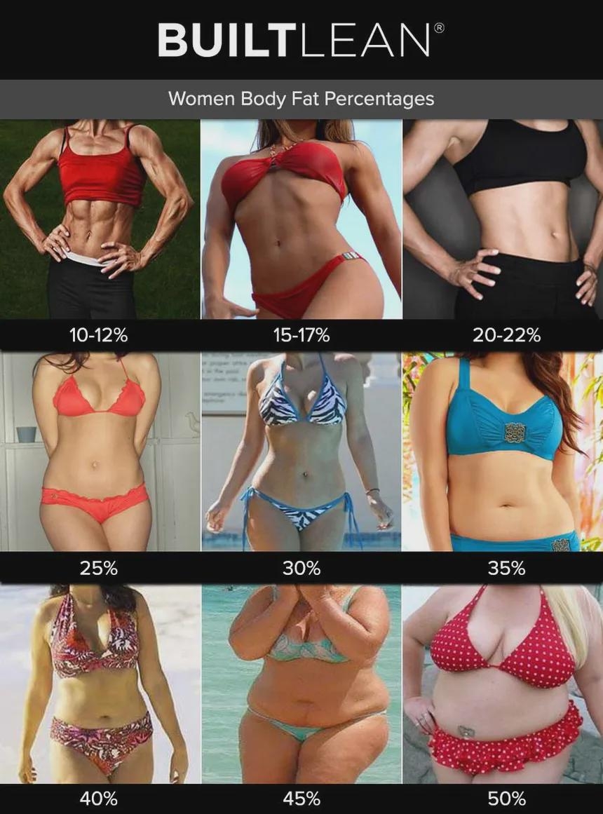 Everyone Who Is Into Women Which Body Fat Percentage Do You Like The Best Which Body Fat Percentage Do You Like The Least R Trueratediscussions