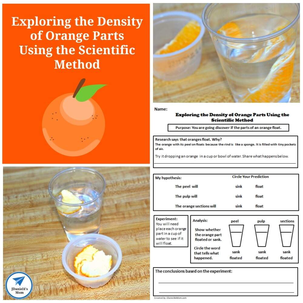 Exploring The Density Of Orange Parts Using The Scientific Method JDaniel4s Mom