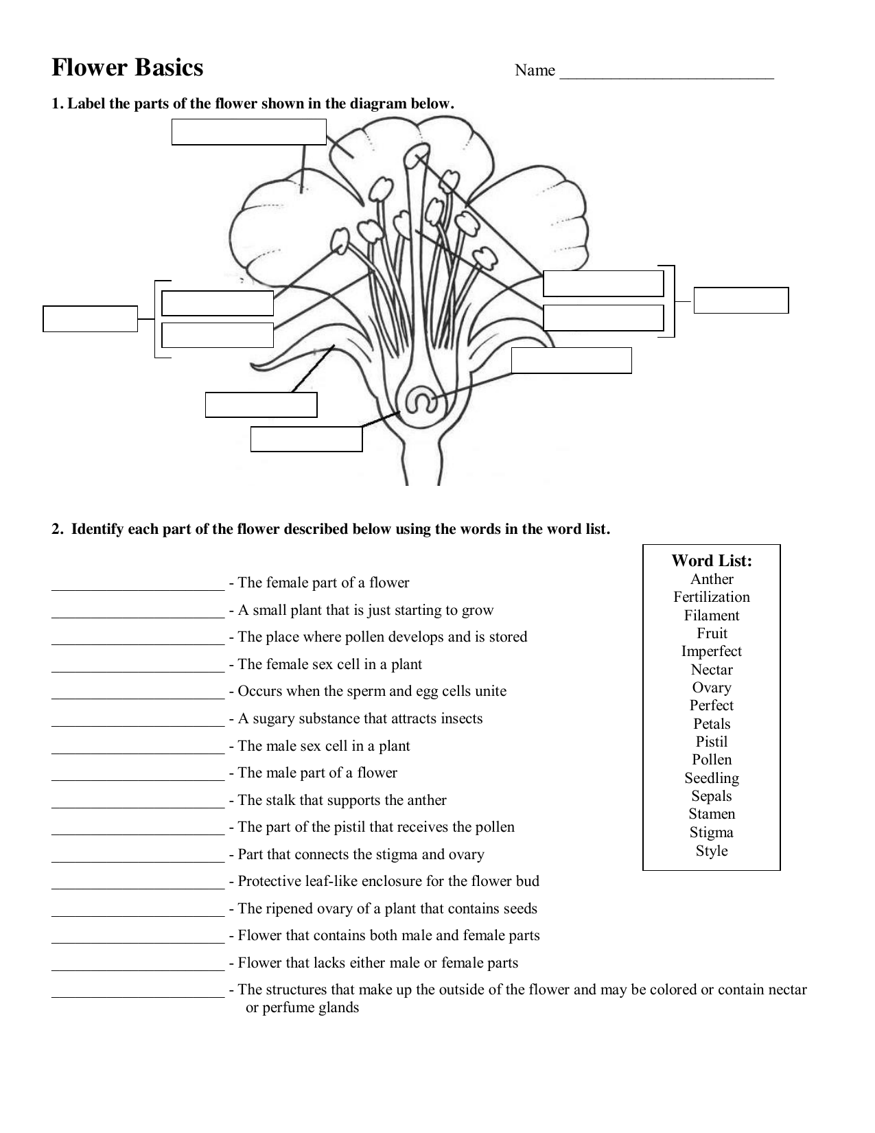 Flower Anatomy Pollination Worksheet