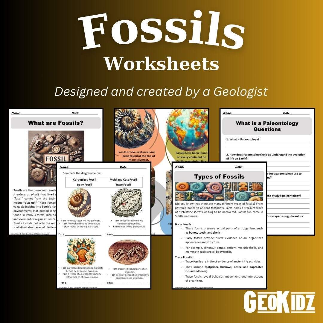 Index Fossils Worksheet Earth Science Practice