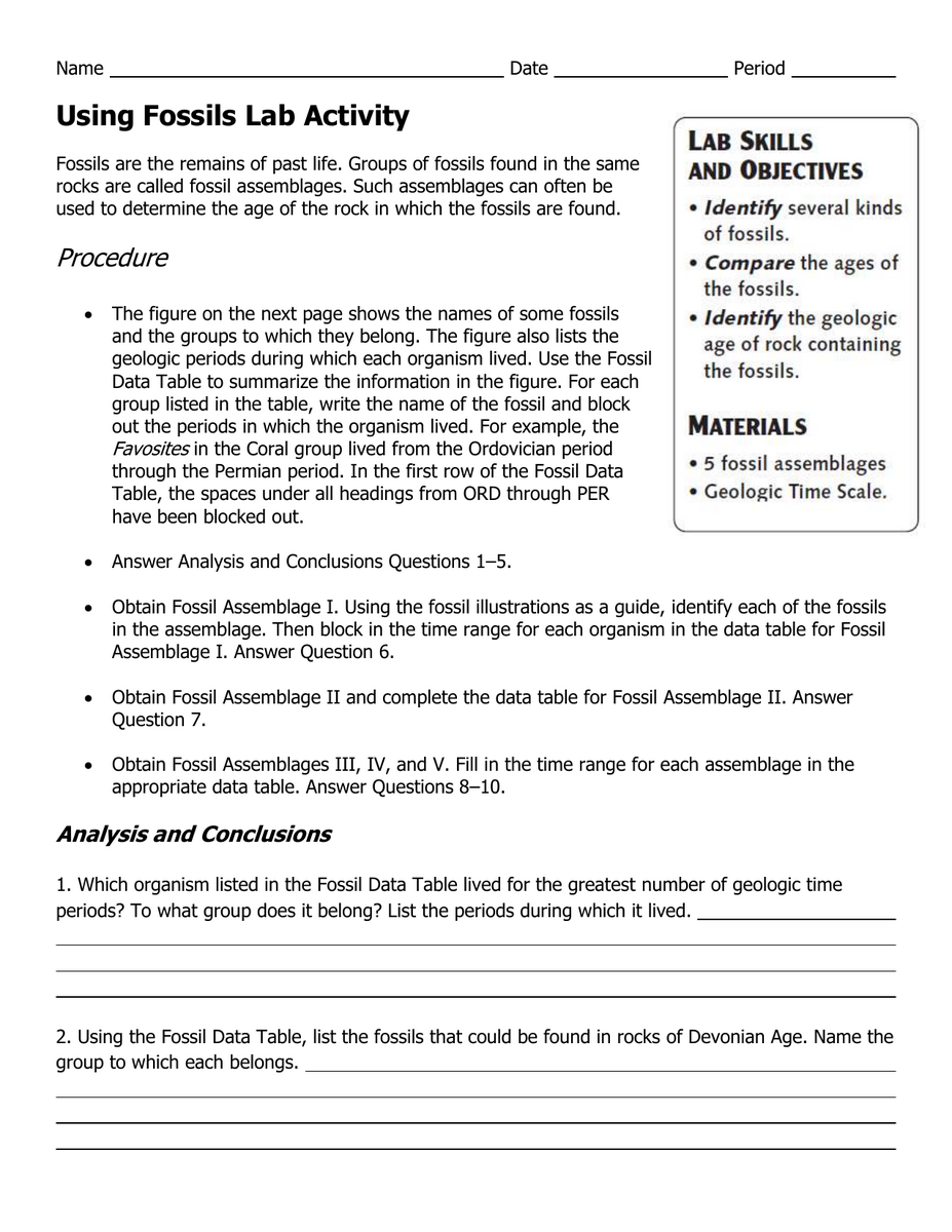 Fossils Lab Activity Rock Age Determination