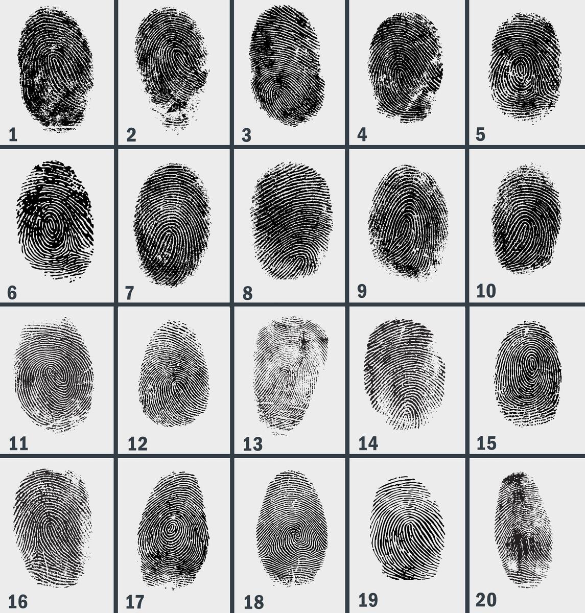 Free Comparing Fingerprints Worksheet Download Free Comparing Fingerprints Worksheet Png Images Free Worksheets On Clipart Library