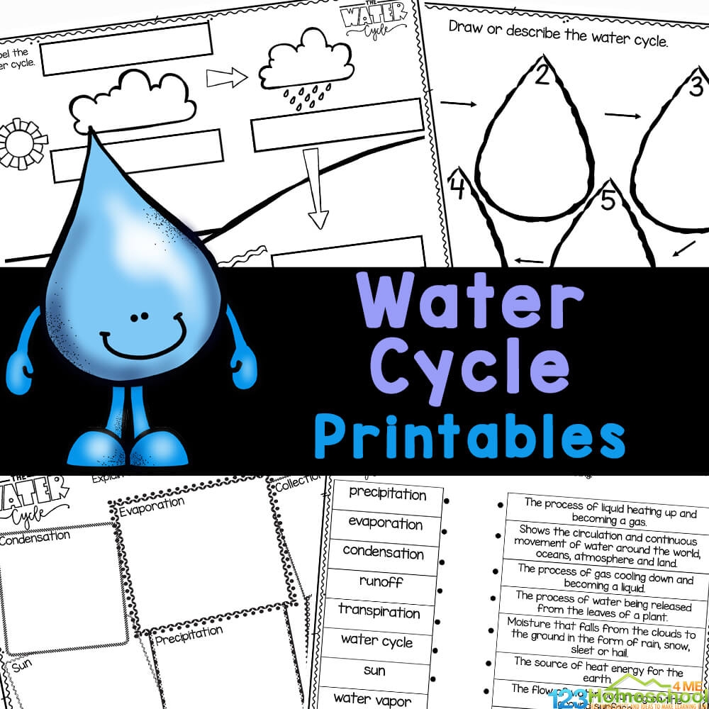 FREE Printable Water Cycle Worksheets For Kids FREE Printable Water Cycle Worksheets For Kids