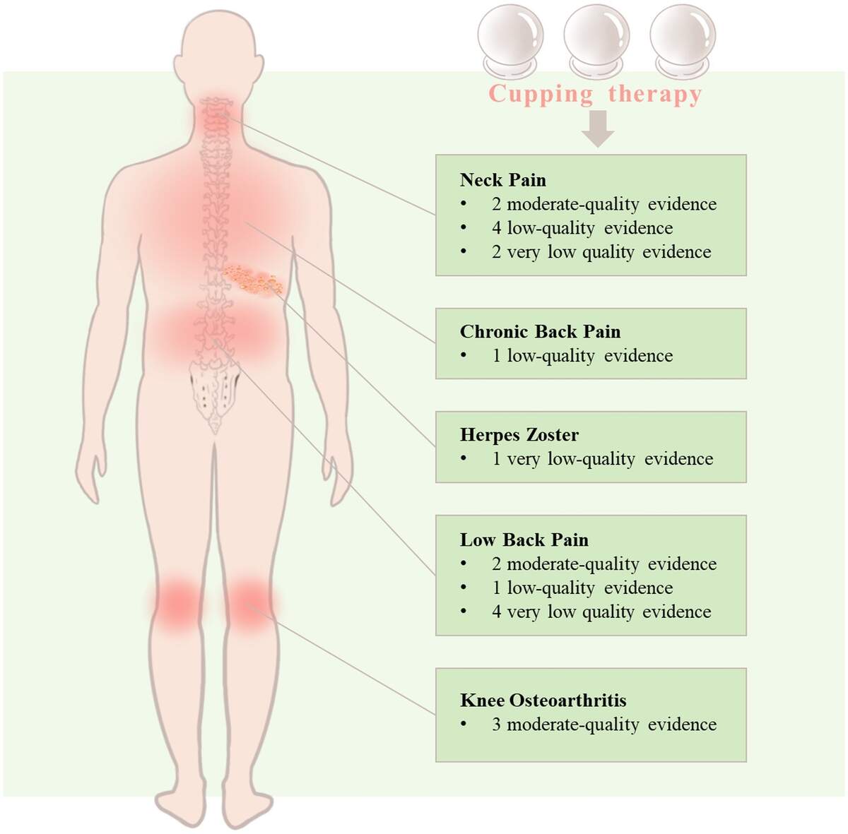 Frontiers Efficacy Of Cupping Therapy On Pain Outcomes An Evidence mapping Study