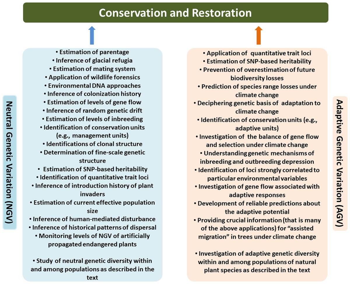 Aridity Driven Shift In Biodiversity Soil Multifunctionality Relationships Nature Communications
