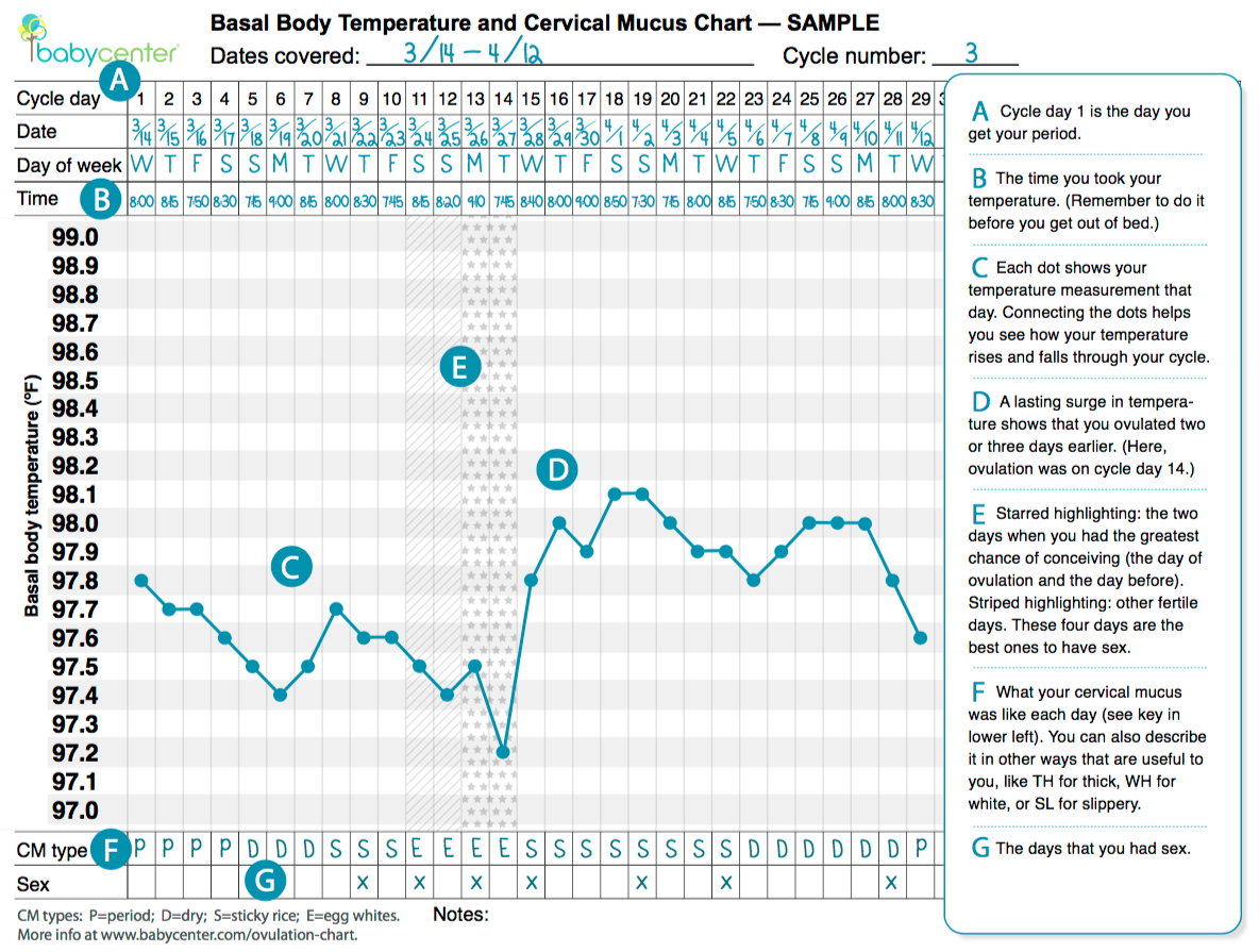 Get Pregnant Track Your Cycle Basal Body Temperature Charting Basics HolisticZen