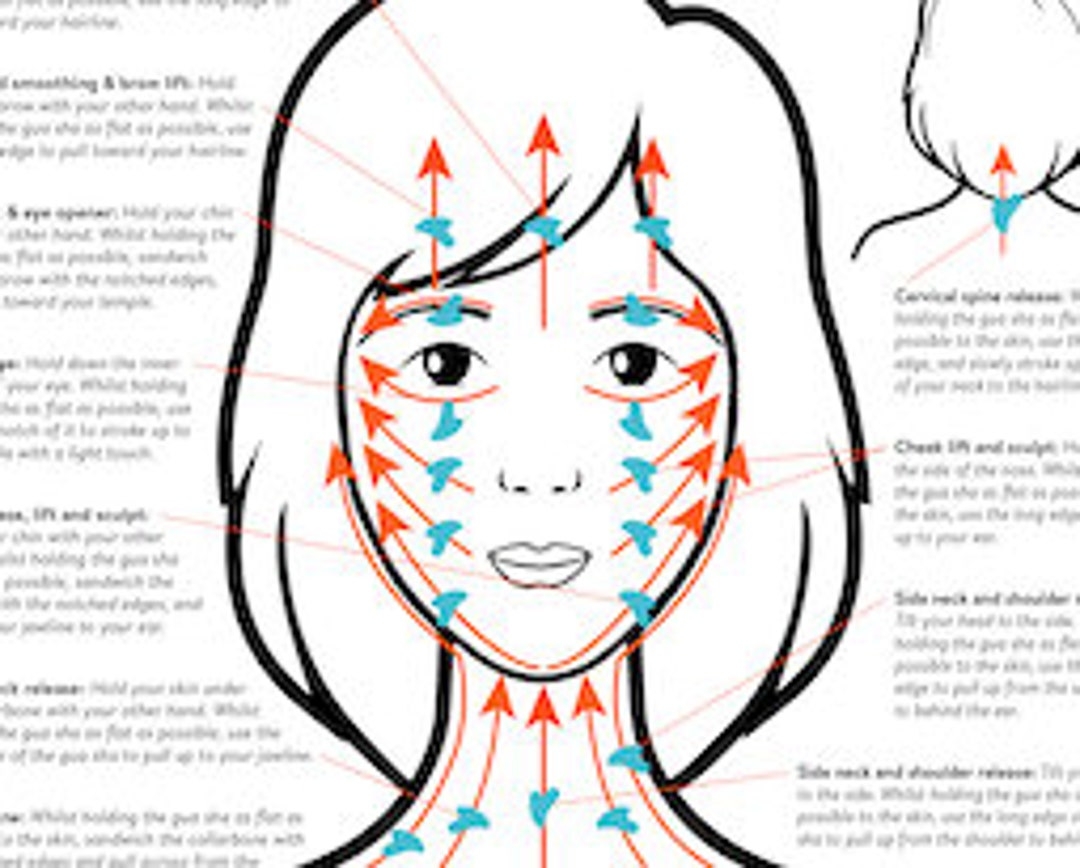 Gua Sha Facial Chart Gua Sha Facial Step By Step How To Acurea USA