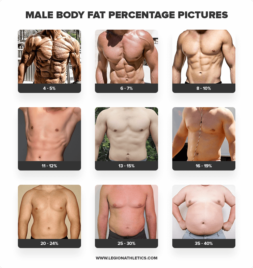 Free Body Fat Percentage Chart Template To Edit Online