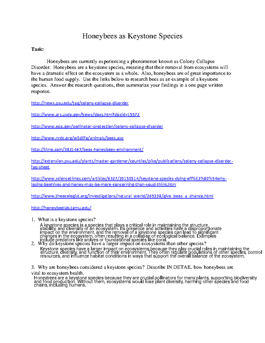 Identifying Minerals READING WORKSHEET For Science Class Studocu
