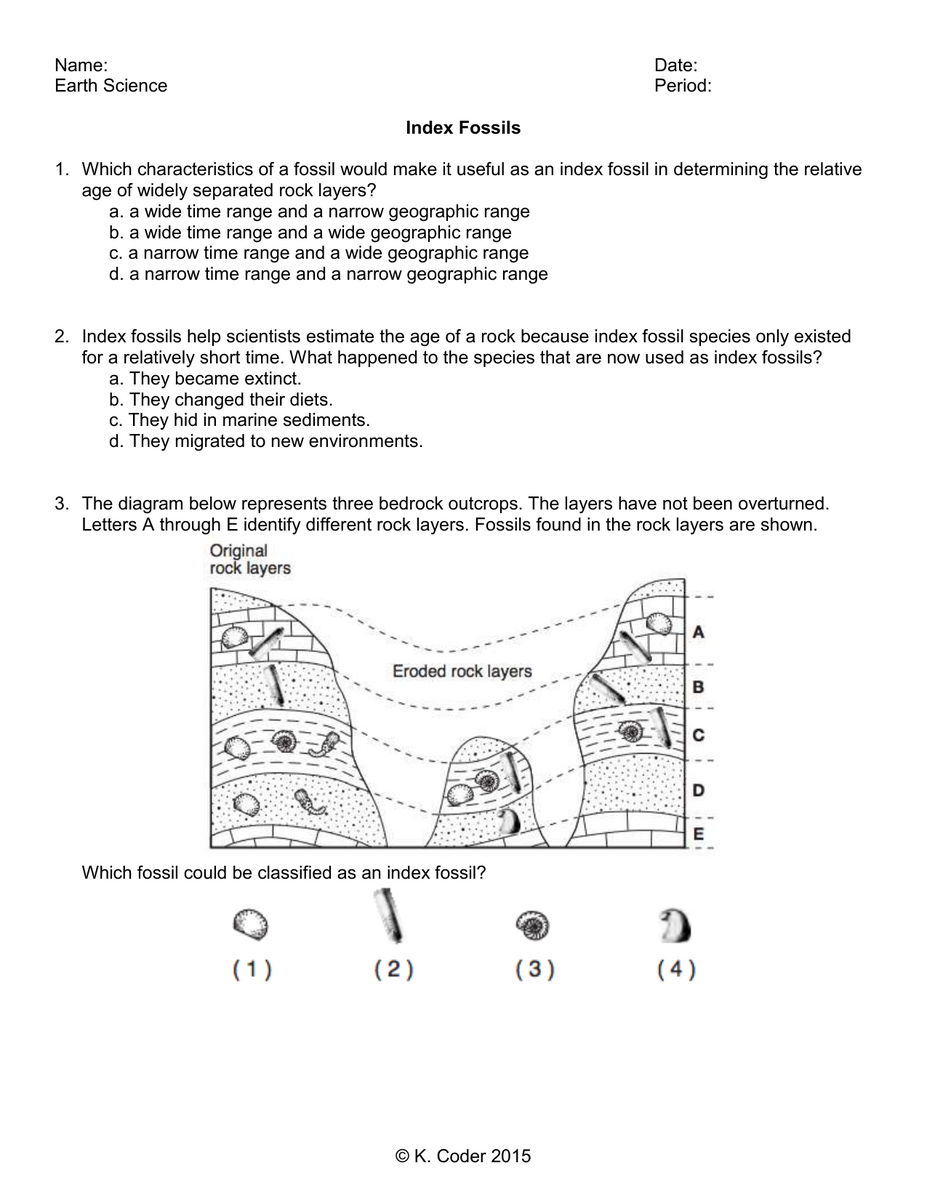 Index Fossils Worksheet Earth Science Practice