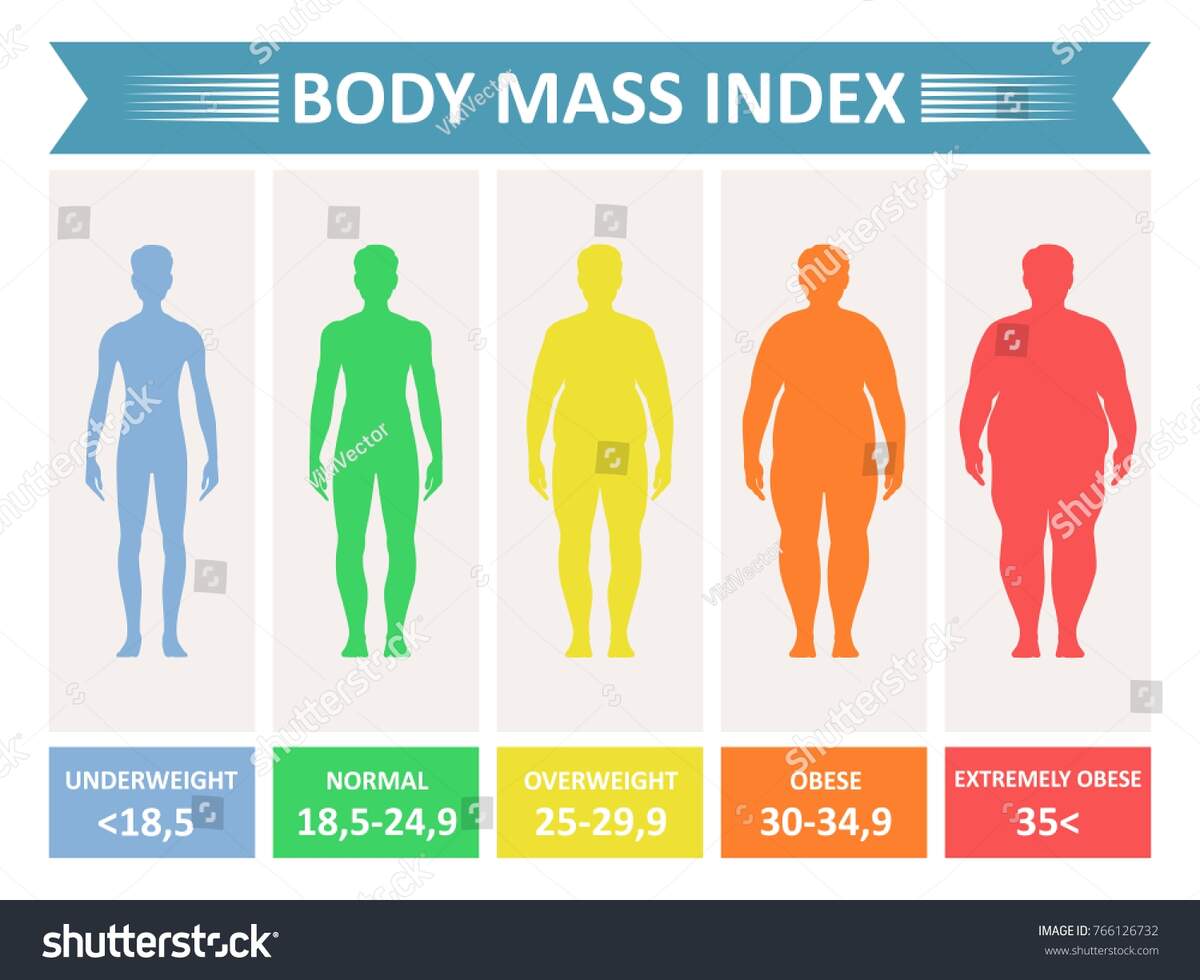 Index Mass Body Rating Chart Body Stock Vector Royalty Free 766126732 Shutterstock Index Mass Body Rating Chart Body Stock Vector Royalty Free 766126732 Shutterstock