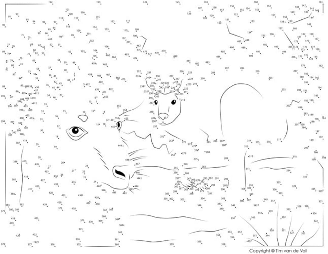 Kangaroo Dot To Dot Connect The Dots PDF 500 Dots Etsy Israel Kangaroo Dot To Dot Connect The Dots PDF 500 Dots Etsy Israel