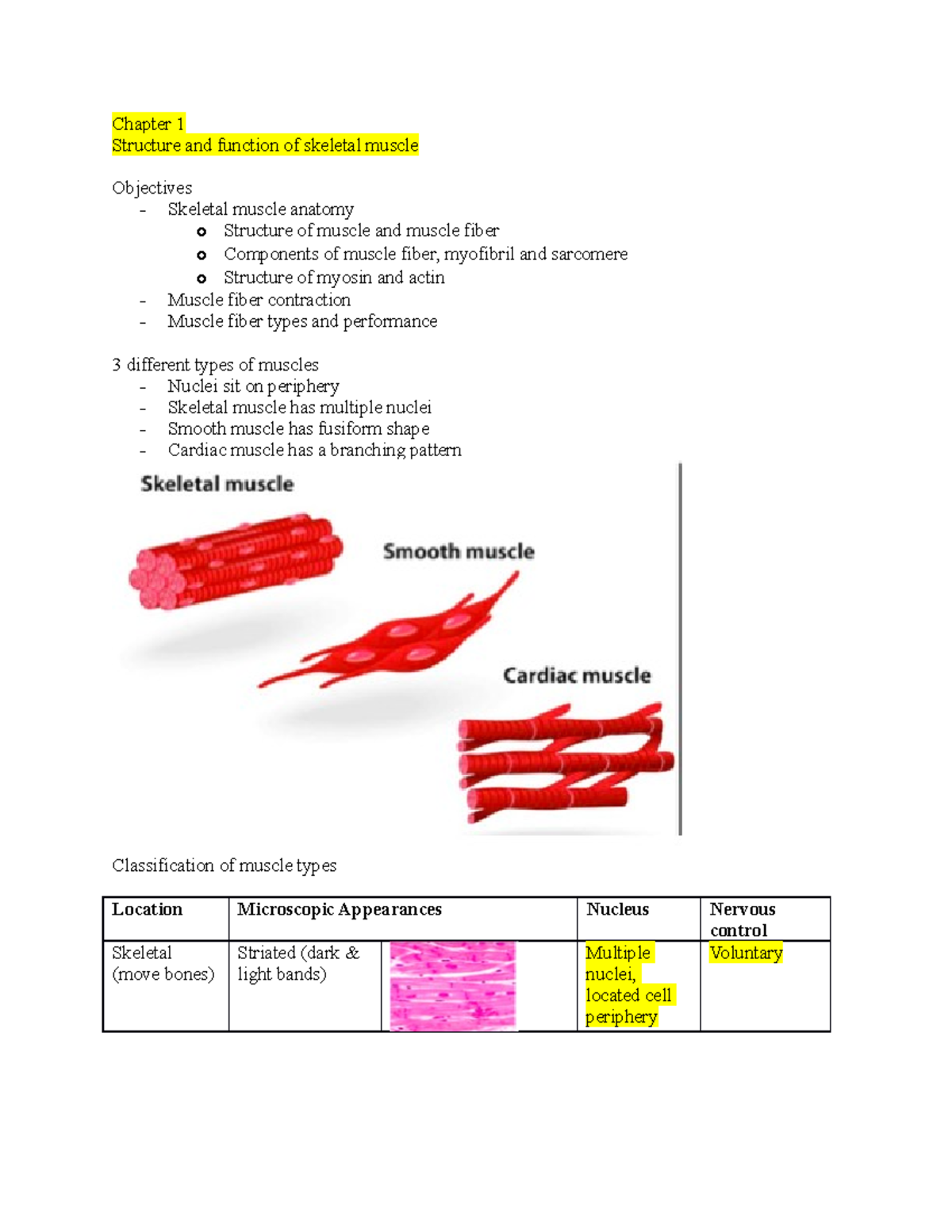 KINE 101 Exam 1 Study Guide Structure And Function Of Skeletal Muscle Studocu