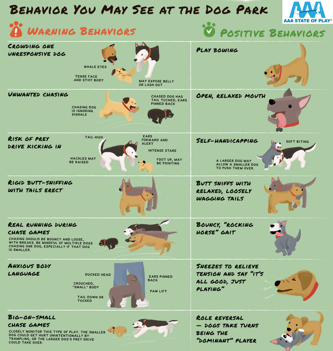 Language Of Pets Lynbrook Vet Language Of Pets Lynbrook Vet