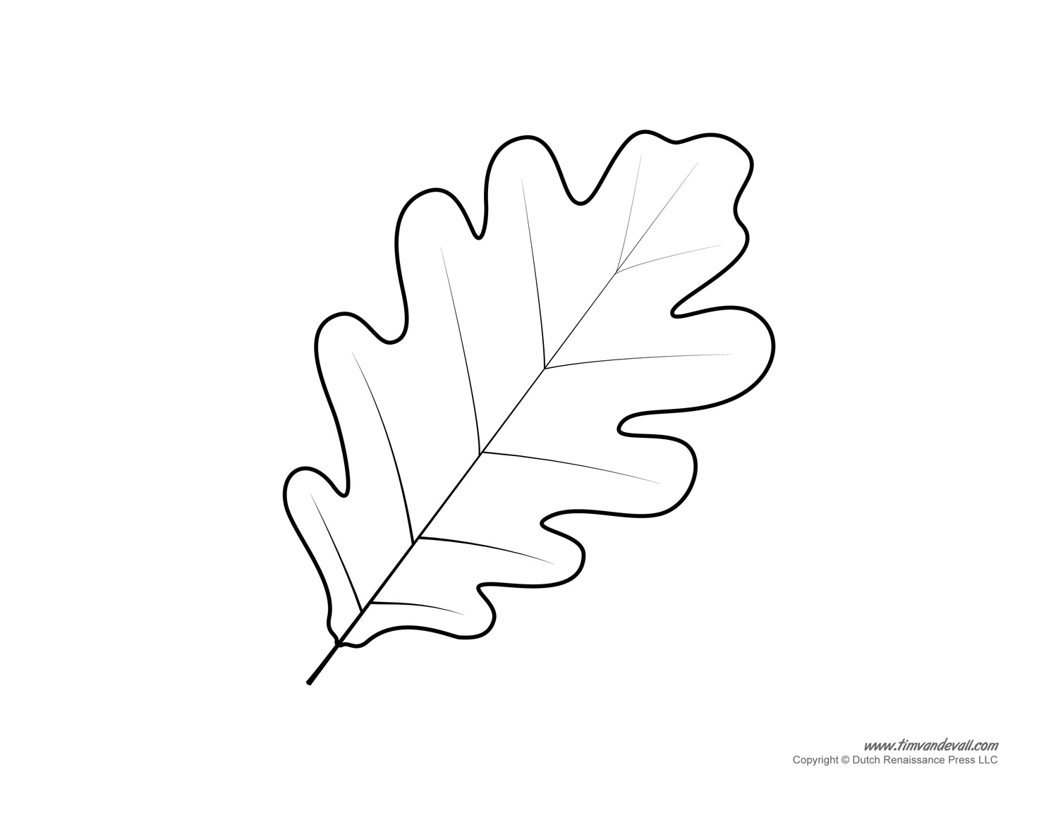 Leaf Templates Free Printable Leaf Patterns And Outlines Free Printables Lettering SVG Files Tools Apps