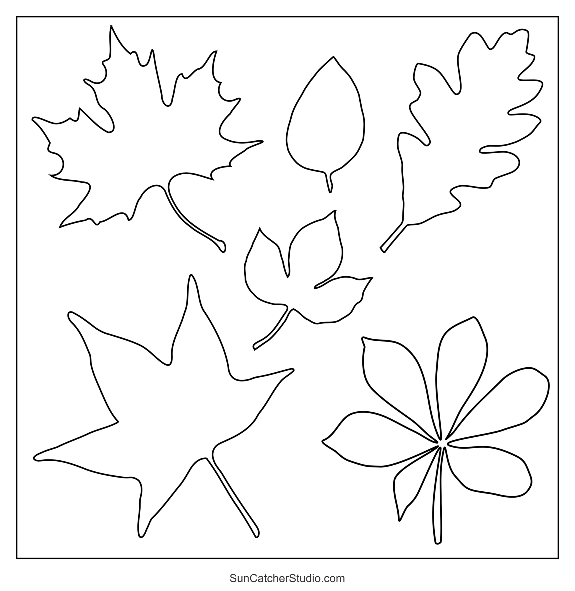 Leaf Templates Free Printable Leaf Patterns And Outlines Free Printables Lettering SVG Files Tools Apps
