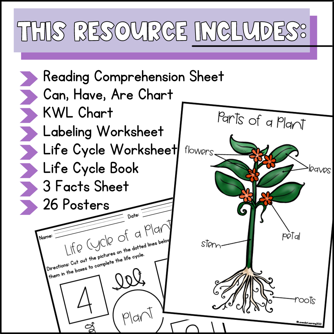 Life Cycle Of A Plant Activities Worksheets Booklet Poster Plant Life Cycle Made By Teachers