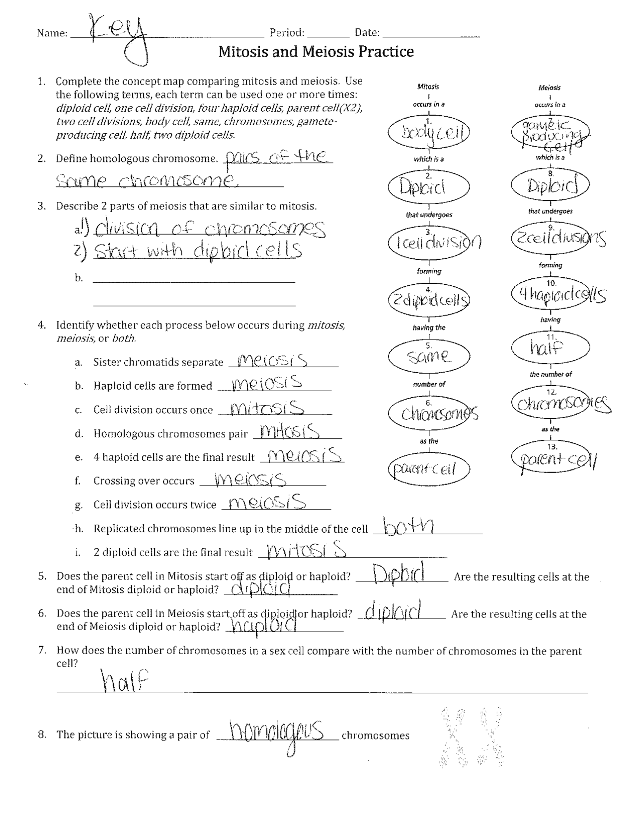 Meiosis Reading Comprehension Worksheets Laney Lee Worksheets Library Meiosis Reading Comprehension Worksheets Laney Lee Worksheets Library