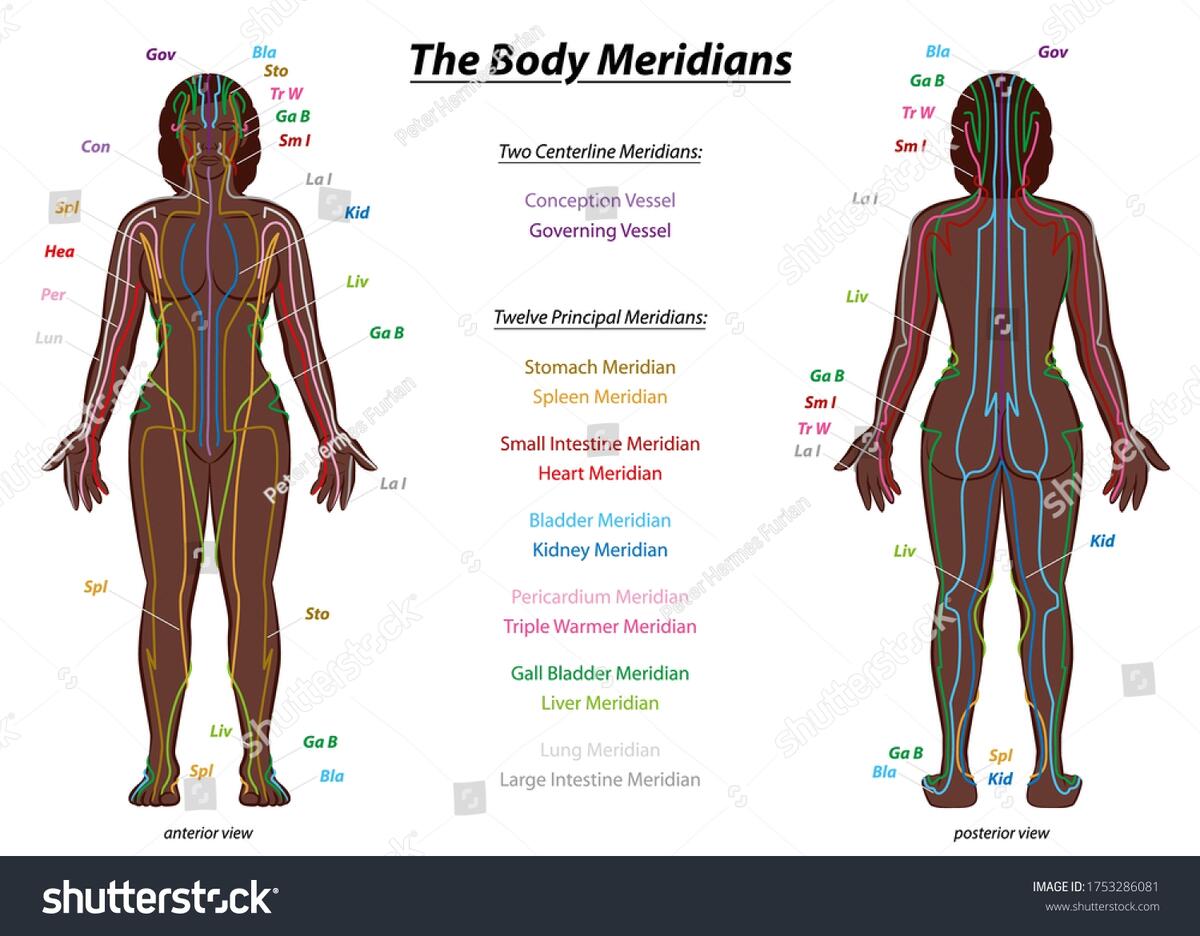 Meridian System Chart Black Woman Female Stock Vector Royalty Free 1753286081 Shutterstock