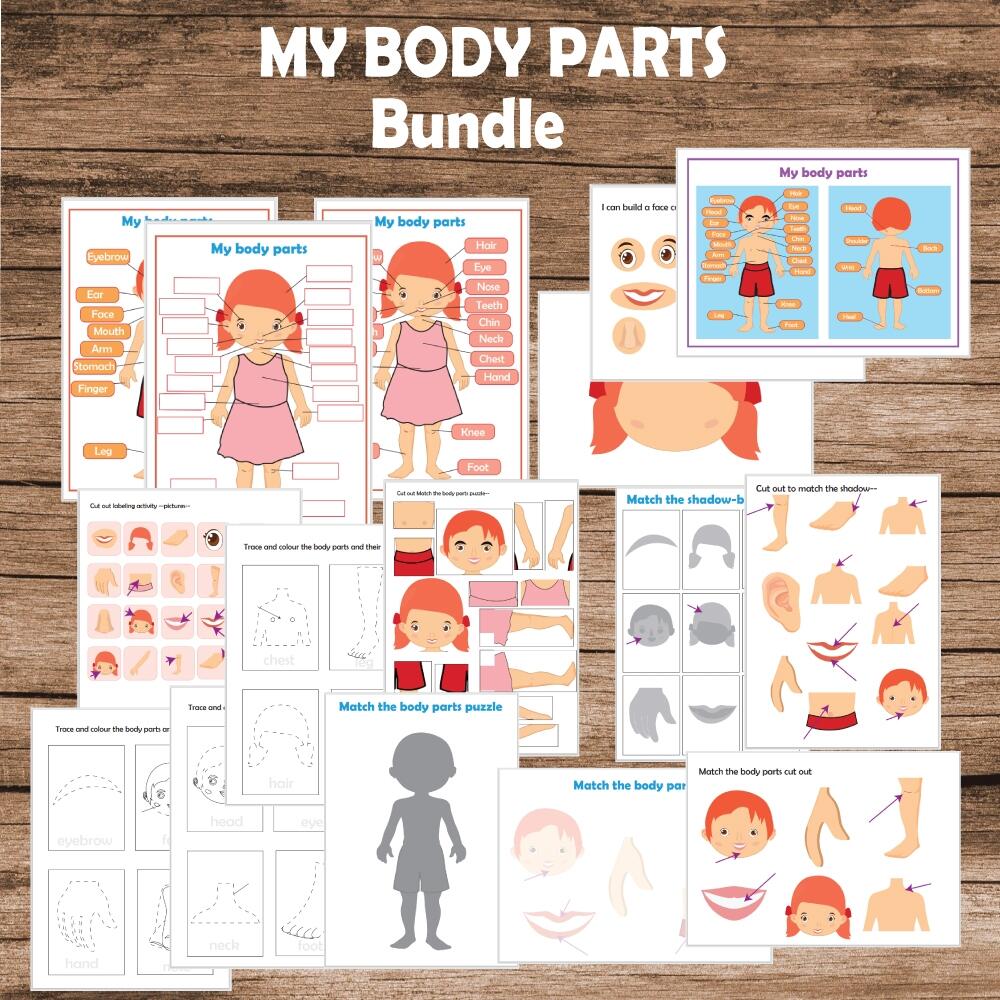 My Body Parts Human Body Parts Anatomy Busy Book Learning Folder Made By Teachers