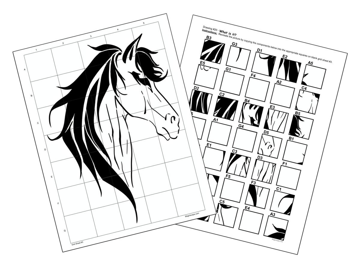 Mystery Grid Drawing Puzzles Volume 1 Magniscape