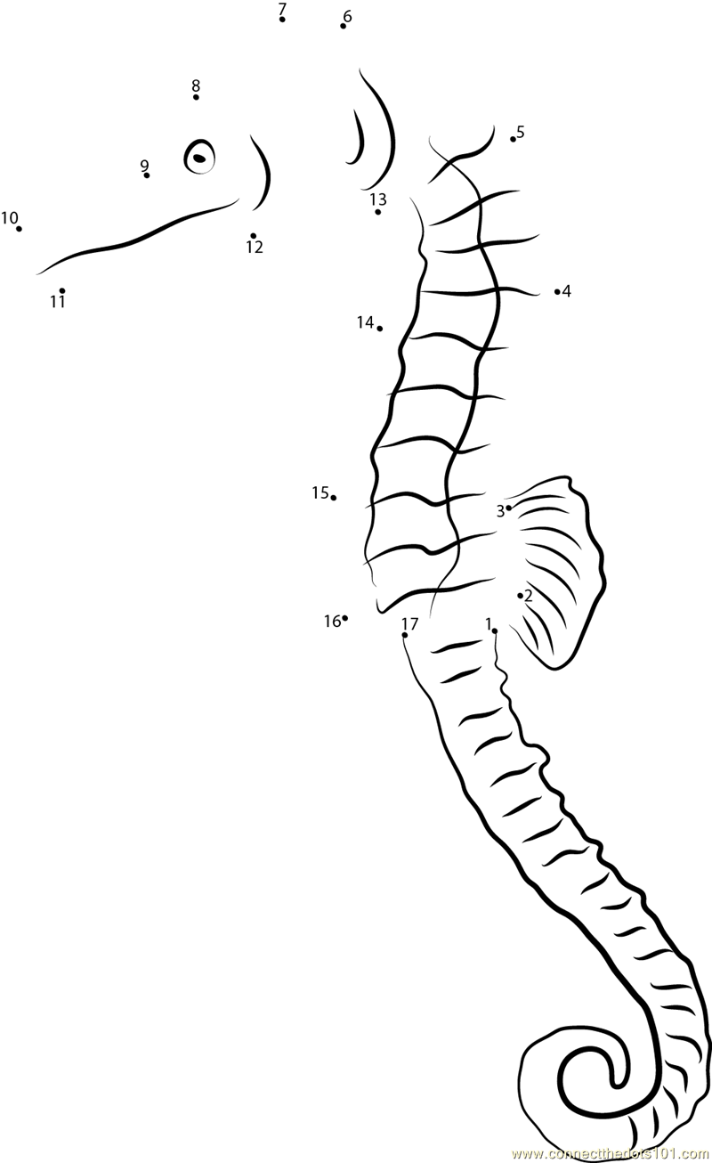 Pacific Seahorse Dot To Dot Printable Worksheet Connect The Dots Pacific Seahorse Dot To Dot Printable Worksheet Connect The Dots