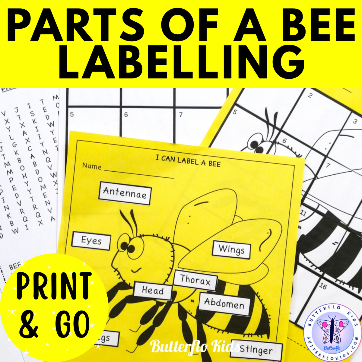 Parts Of A Bee Labelling Craft Butterflo Kids Parts Of A Bee Labelling Craft Butterflo Kids