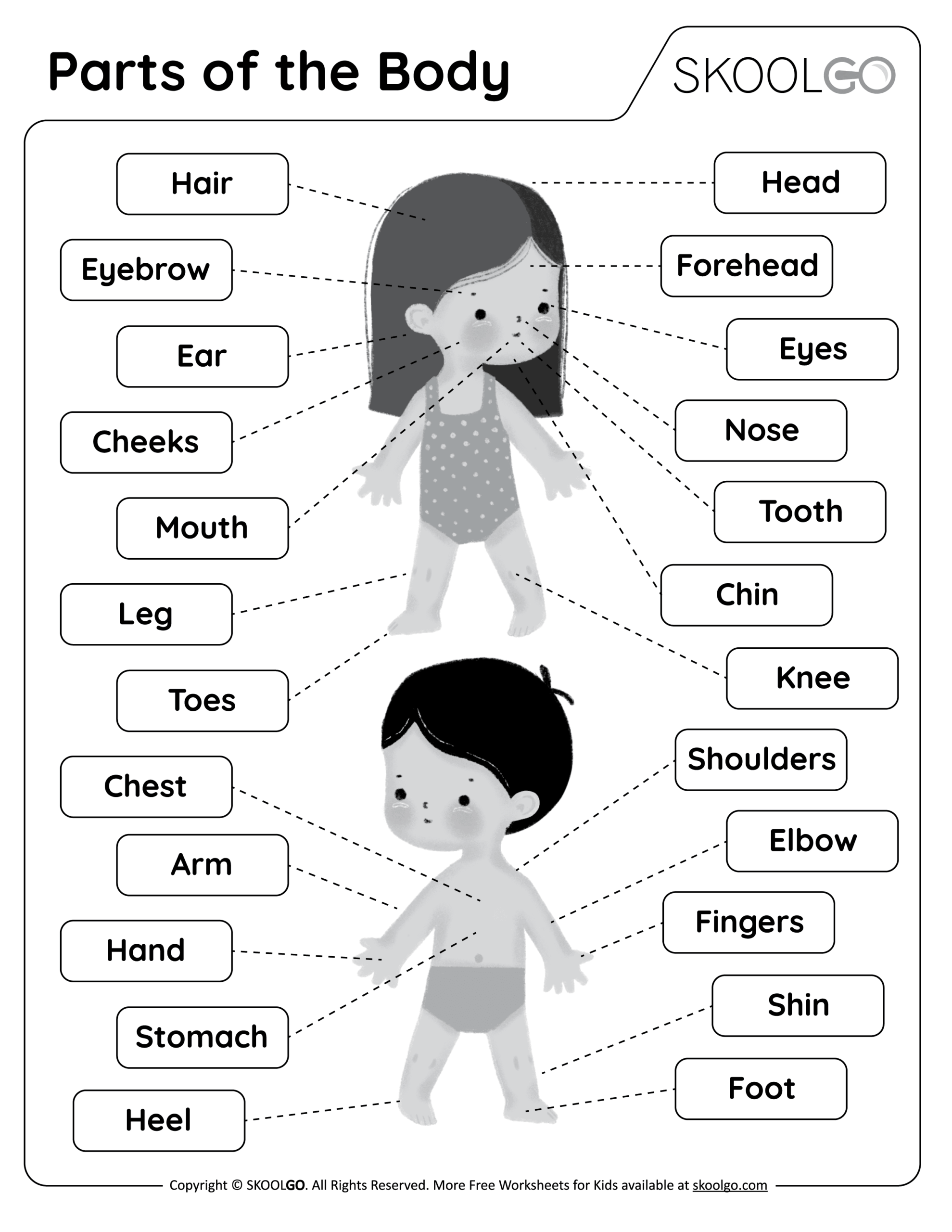 Body Parts Matching Activity Human Body Game Toddler Preschool Worksheets For Kids Busy Book Pages Homeschool Educational Game Etsy