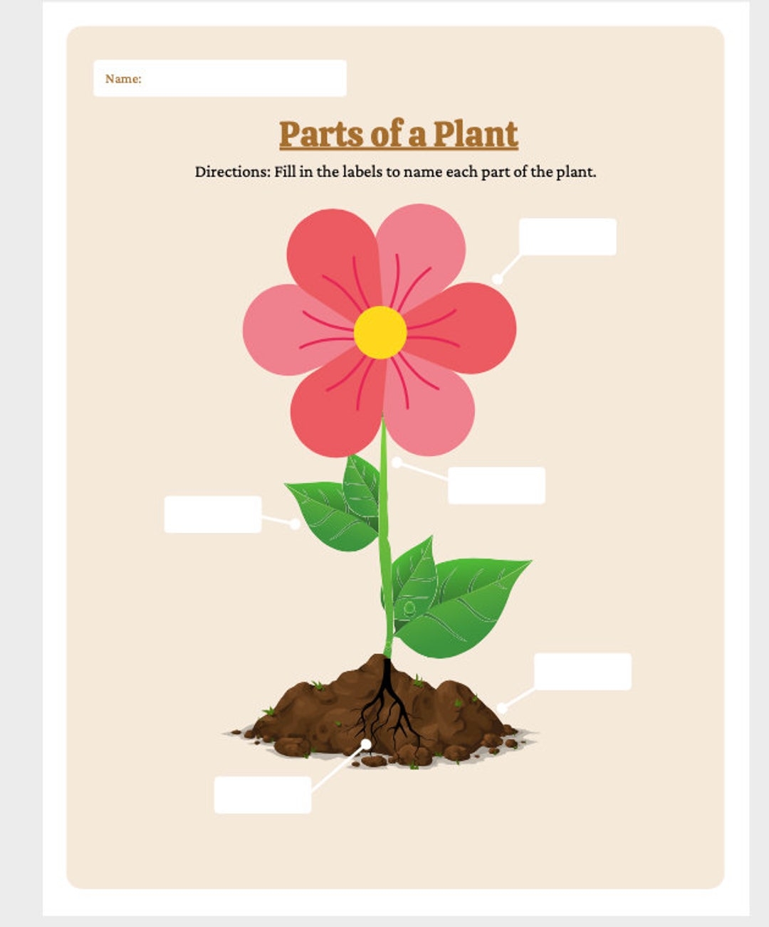 Parts Of The Plant Worksheet Parts Of The Plant Labeling Activity Etsy Parts Of The Plant Worksheet Parts Of The Plant Labeling Activity Etsy